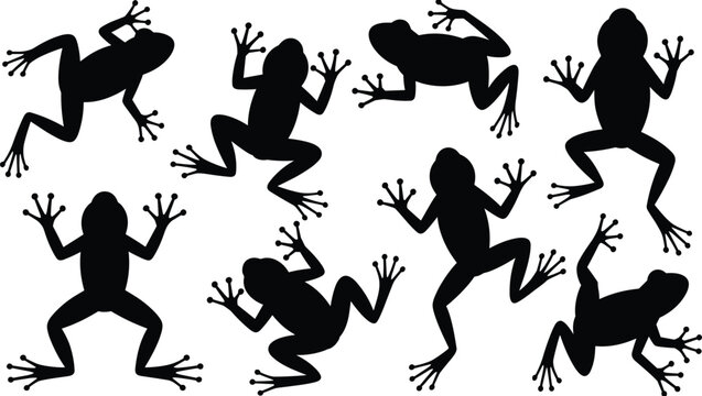Frog silhouettes illustration, amphibian poses, jumping frogs, sitting frogs, tree frog design, wildlife art, nature pattern, biological diversity, animal icon