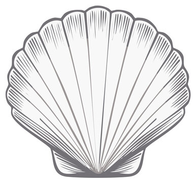 Stylized Seashell: Nautical Themed Isolated Graphic Resource