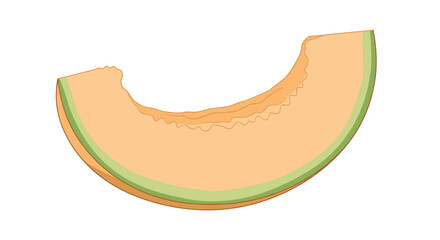 Fototapeta premium Slice of sweet orange melon with a green rind is shown in a simple illustration capturing the refreshing look of a healthy and delicious snack.