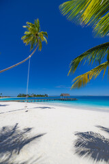 Breathtaking gorgeous maldives beach with palm tree swing, radiant blue sky pristine white sand, captivating turquoise ocean view and dreamy picturesque tropical tourism landscape wallpaper background