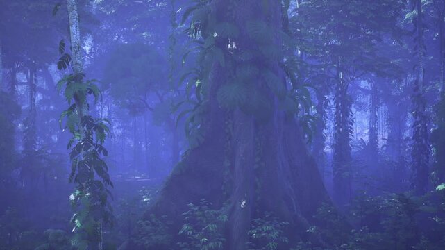 Remote expedition Papua New Guinea rainforest, traces of field study around monumental trunk, damp trails, vine tangles and research atmosphere