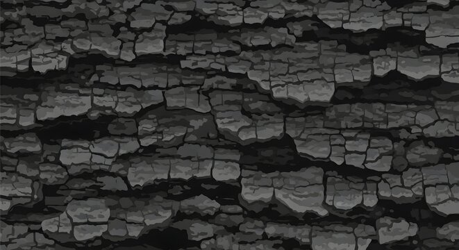 Close-up Black and White Texture of Cracked Tree Bark