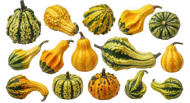 Assortment of decorative gourds isolated on transparent background