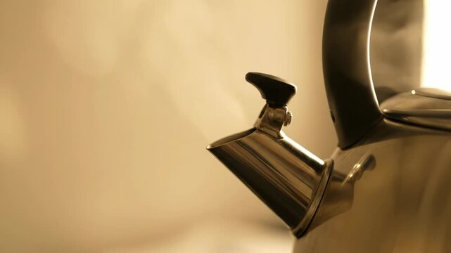 A close-up of a whistling kettle, showcasing its spout and handle against a warm background. The metallic surfaces reflect light