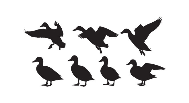 Silhouettes of bats flying in a night sky, showcasing their distinctive wing shapes and echoing their nocturnal nature