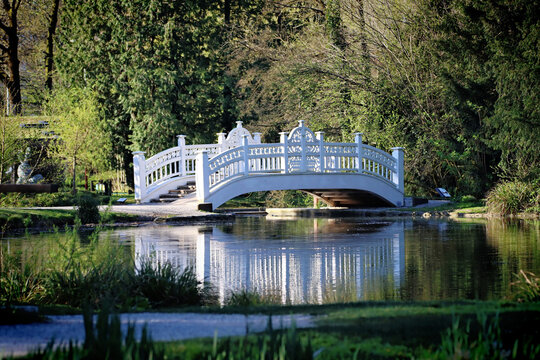 Lace Bridge