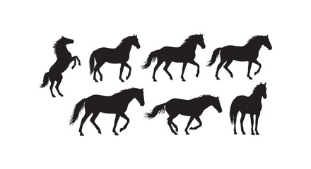 Obraz premium A line-up of six different horse breeds showcasing equine diversity and elegance in motion