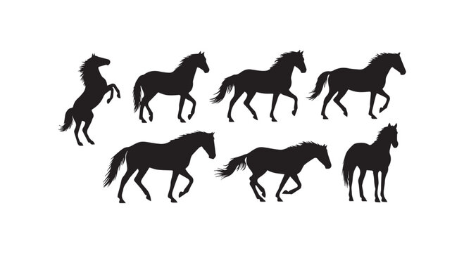 A line-up of six different horse breeds showcasing equine diversity and elegance in motion