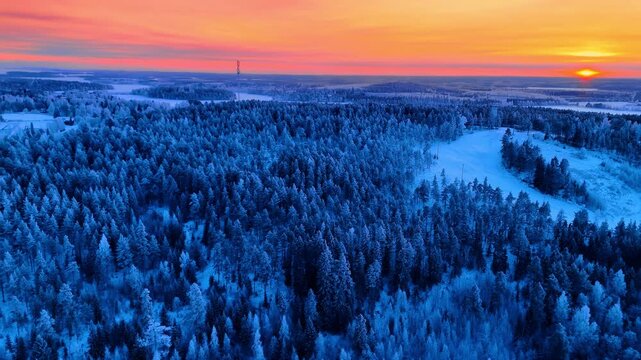 Vibrant sunset over dense coniferous forest in Lapland winter. Panoramic aerial view of a dark pine forest and bright orange horizon during winter dusk in Finland.