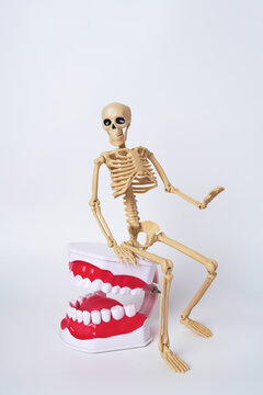 Playful Skeleton with Giant Chattering Teeth Figurine in a Light Background Setting