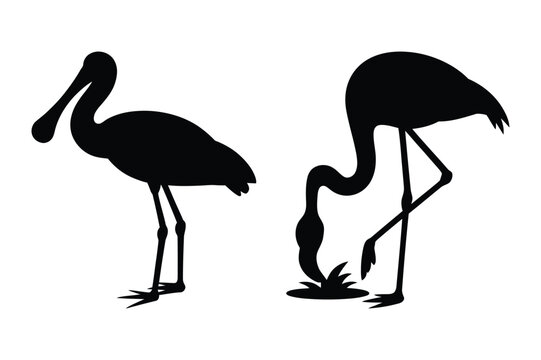 Flamingo and spoonbill bird silhouettes