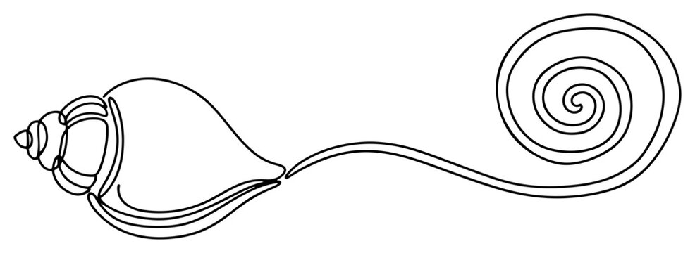 Sacred conch shell shankha symbol of hinduism in minimalist continuous line art style