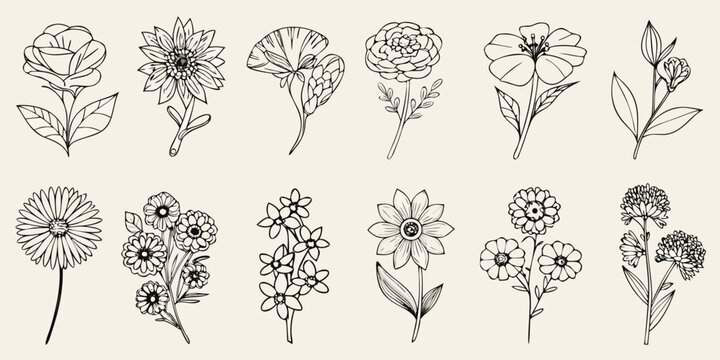 Botanical floral arrangement with various blooms in a dark silhouette