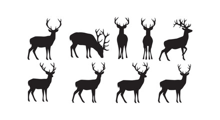 A playful assembly of various feline species in a simple black and white illustration style © GlobalVector Design