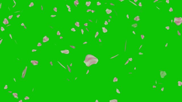 chroma key green screen rose petals shower visual effects floral compositing