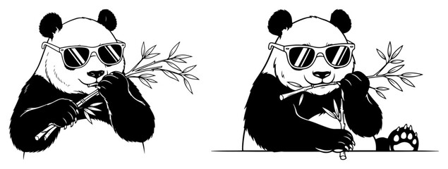 Giant panda bear wearing sunglasses eating bamboo branch in hand drawn line art style © Anna