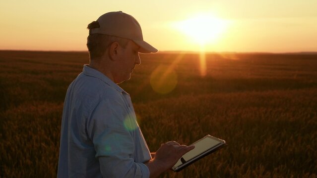 Businessman with tablet in hands works in wheat field, checking harvest. Modern agricultural business concept. Farmer works in field with digital tablet. Agronomist works in field. Worker rural area