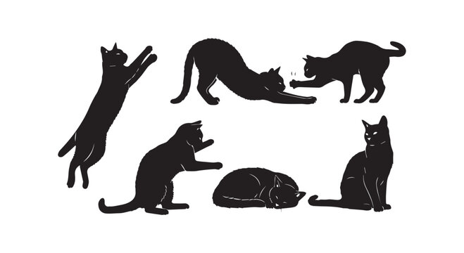 Symbolic representation of animal diversity and evolution in a minimalist black and white illustration