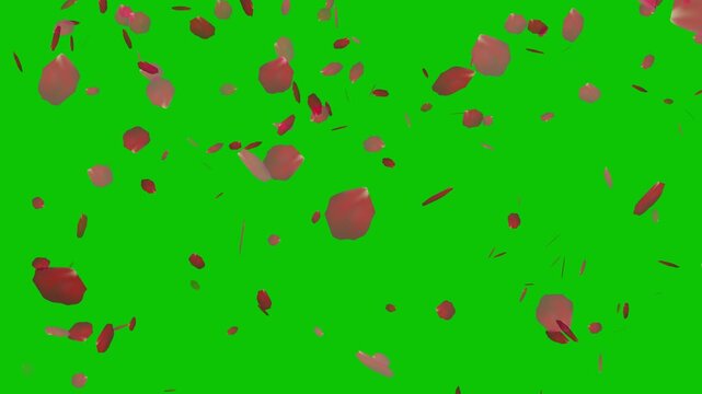 visual effects floral compositing chroma key green screen floating rose petals
