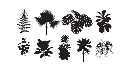 Fototapeta premium Elegant floral patterns showcasing ornate floral designs in black and white ink art
