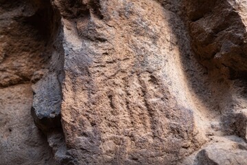 Obraz premium 史跡で発見された岩の表面の古代の彫刻