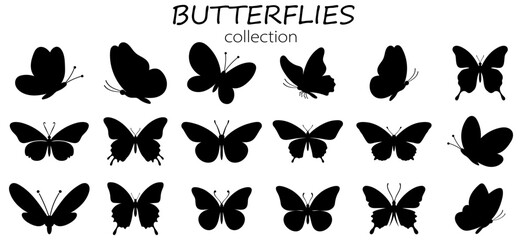 butterflies Flying silhouette black set, Flaying butterflies vector collection isolated on white background. Use for graphic design, web and mobile app. © Vasyl Yurlov