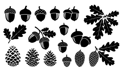 Black acorn and oak icon set vector autumn nut leaf symbol isolated on white © MstRAJIA