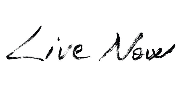 Live Now Text Brush Stroke Calligraphy. Grunge black hand written script lettering, icon sign. Vector hand draw textured message for banner, ads, promotions, poster, cards.