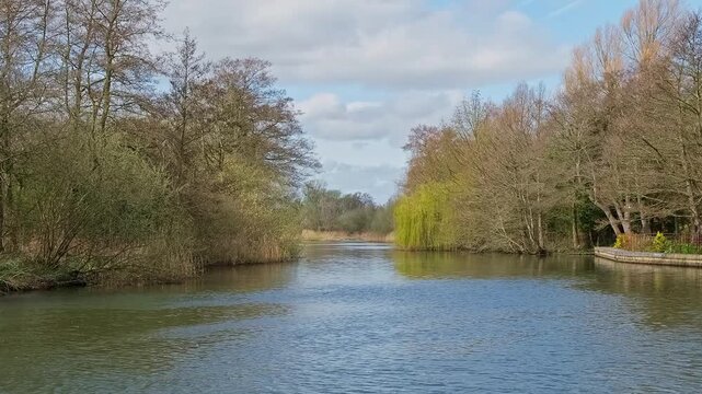 River Bure in the Norfolk Broads, filmed from Belaugh Staithe. Trees line the riverbank capturing the quiet charm of a perfect summer day on the Norfolk Broads. Static camera shot