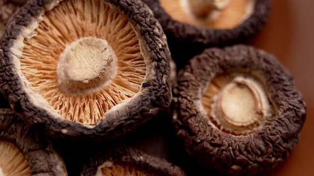 Macro shot of dried shiitake mushroom with gills and cap texture in brown bowl. Organic raw vegan food ingredient. Edible fungi. Rotation