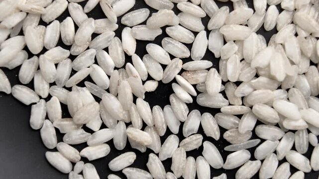 Top view of dry arborio rice scattered on dark surface. Uncooked short grains on black background. Raw cereal texture. Rotation