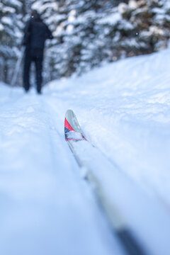 Cross-country ski track in fresh snow with a skier blurred in the background among snow-covered trees in a winter landscape