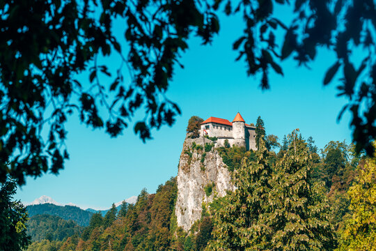 Historic Bled Castle, the oldest castle in Slovenia, built in 1004, showcasing medieval architecture and cultural heritage on a rocky cliff above Lake Bled.
