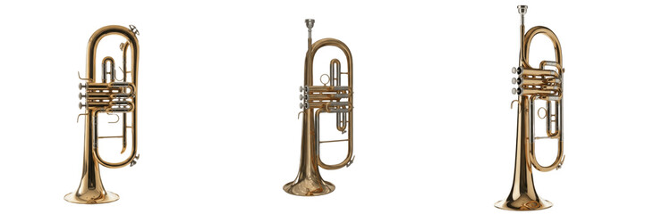 Fototapeta premium Set of Professional Brass Trumpet Musical Instruments Isolated on White Background
