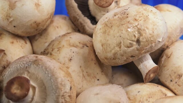 Close up of aging champignon mushrooms rotating in blue bowl with worn texture for food spoilage grocery and kitchen concept
