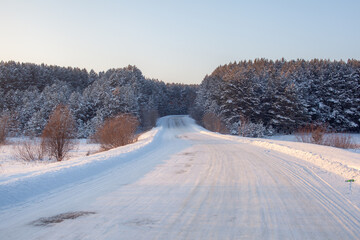 Obraz premium Snow-covered road winding through a dense forest of evergreen trees under a clear blue sky during winter season
