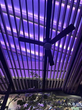 Large industrial ceiling fan with purple lighting background