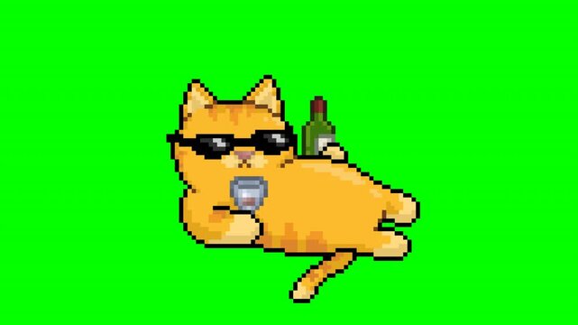 Relaxed cat, animal meme, animation mov