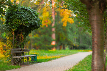 A serene park scene with a winding path and a bench under a lush green tree