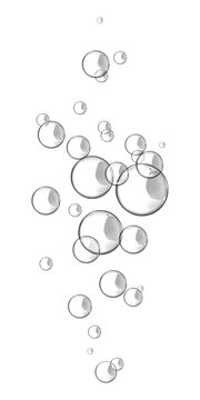 Many clear bubbles floating up on white background  shiny reflective surface transparent background
