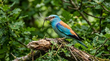 Obraz premium Bird catches a dragonfly while perched on a branch in a forest during daytime