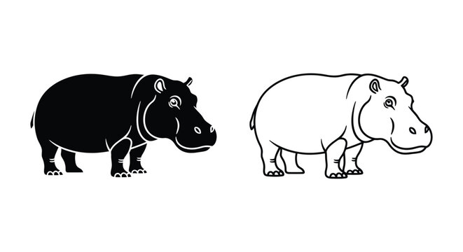 Hippopotamus Types: Black vs White Hippo Guide Vector
