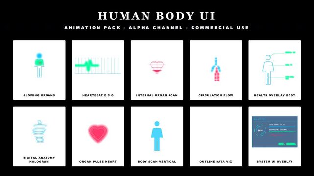 Human Body UI Animation Pack - Medical Health Data Visualization