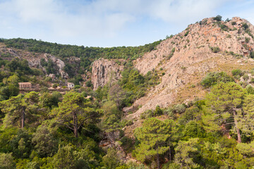 Fototapety na wymiar - Fototapeta24.pl