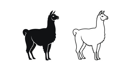 Llama vs Alpaca: Identifying Key Differences Vector © Sultan