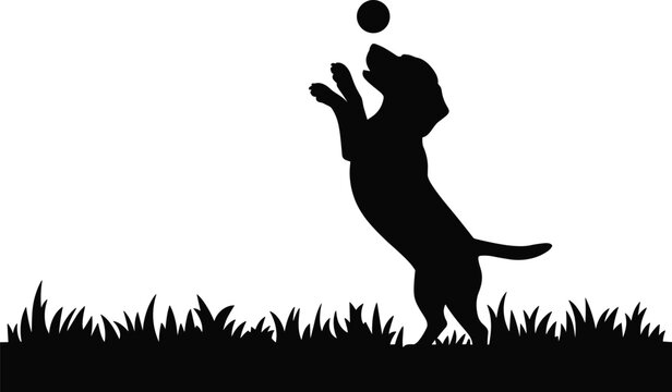 Black silhouette of a playful dog jumping to catch a ball in the grass, pet activity, training, and fun concepts.