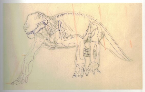 Lycaenops ornatus. Pencil sketch of a dinosaur skeleton in profile, showing anatomical details. Detailed hand-drawn illustration of a dinosaur's skeletal structure, emphasizing bone anatomy and