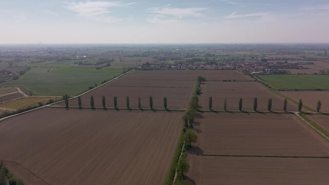 Cultivated Landscape from Above: An aerial view captures vast, geometrically arranged agricultural fields, punctuated by rows of trees and a distant settlement under a clear sky.