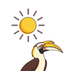 Naklejka premium A hornbill bird looks up at the bright sun on a clear day.