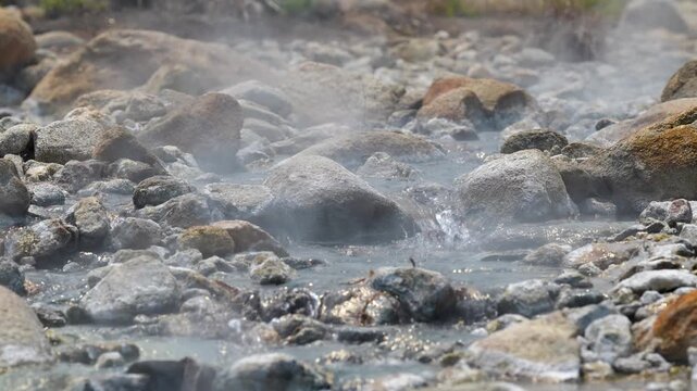 Clear warm water with steam flowing and sparkling under sun at Pai hot springs in Thailand, place for relaxation and retreat, natural attractions in Asia, geothermal mineral pools created by nature.